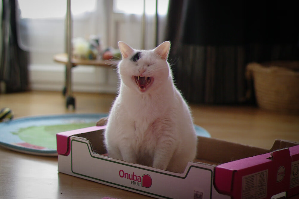 九游游戏中心下载-VALORANT ZetaDivision表现不稳 粉丝担忧，valorant现状