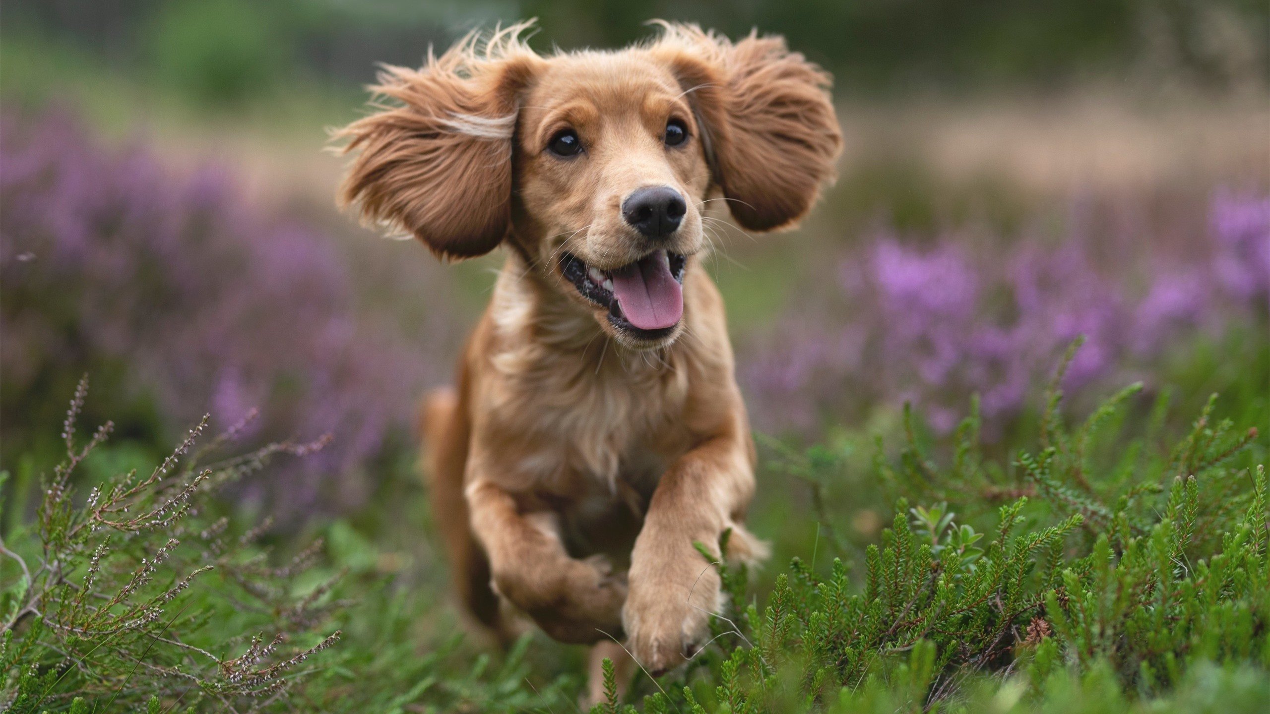 九游博彩-国足官方App提供全方位训练内容，国足比赛平台