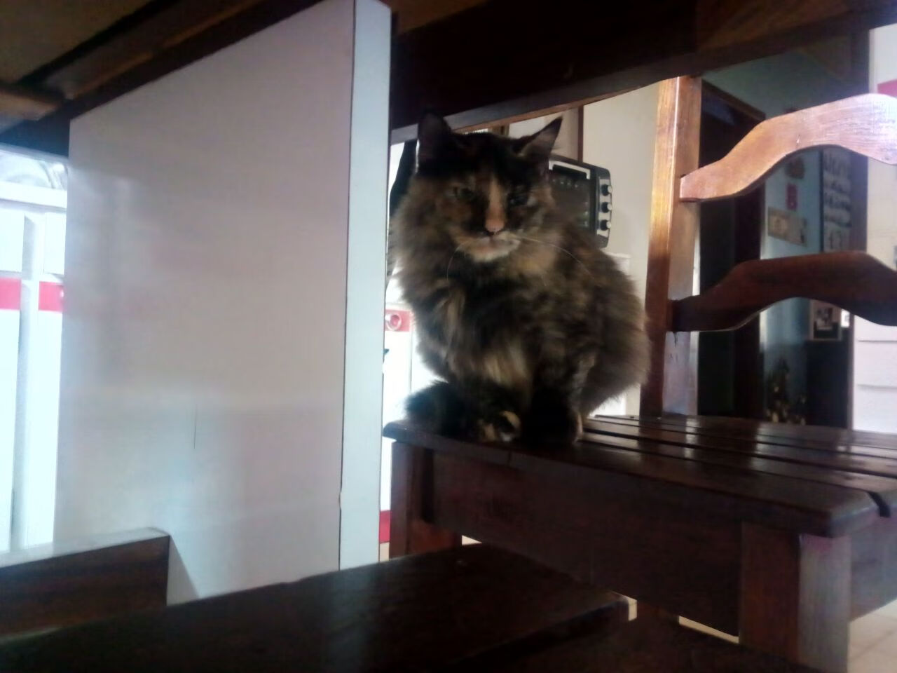 九游社区-托桑·埃夫布奥姆万成为NBA全球形象代表，埃托奥和布冯相视一笑