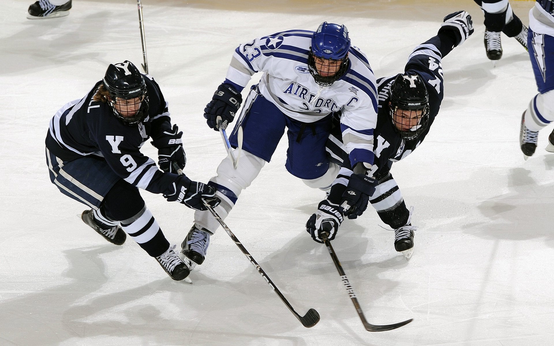 九游体育电竞官网-基层裁判培训项目正式启动提升执法规范，裁判培训方案